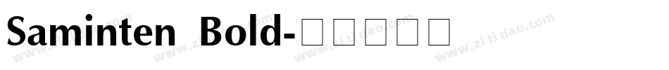 Saminten Bold字体转换